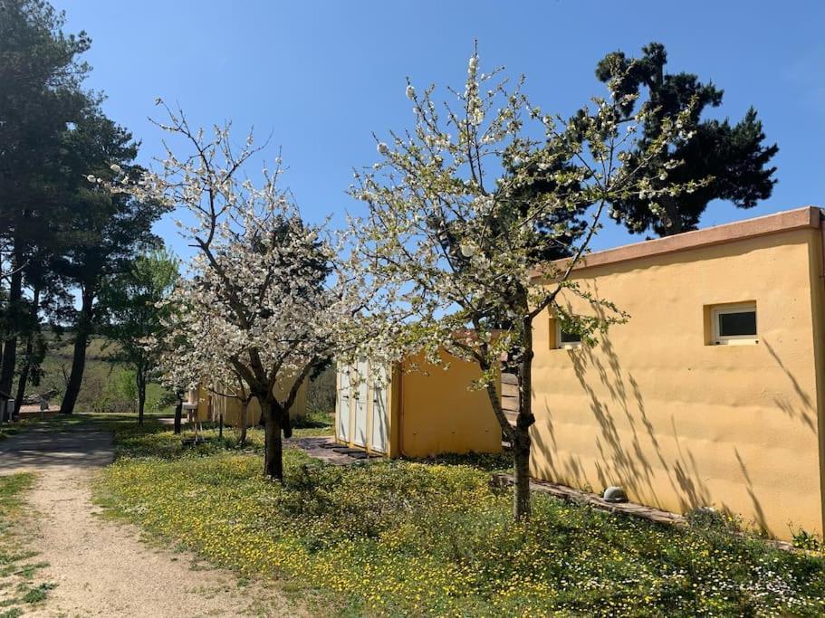 B&B Helga'S Agricampeggio Seùlo Buitenkant foto