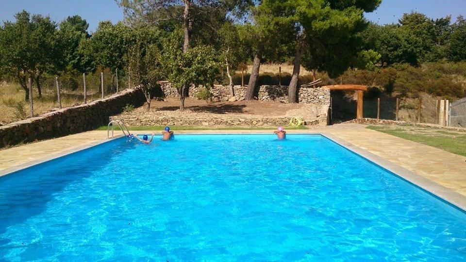 B&B Helga'S Agricampeggio Seùlo Buitenkant foto